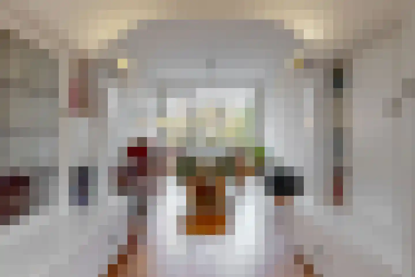 Van Alkemadelaan 303 Den Haag thumbnail 7