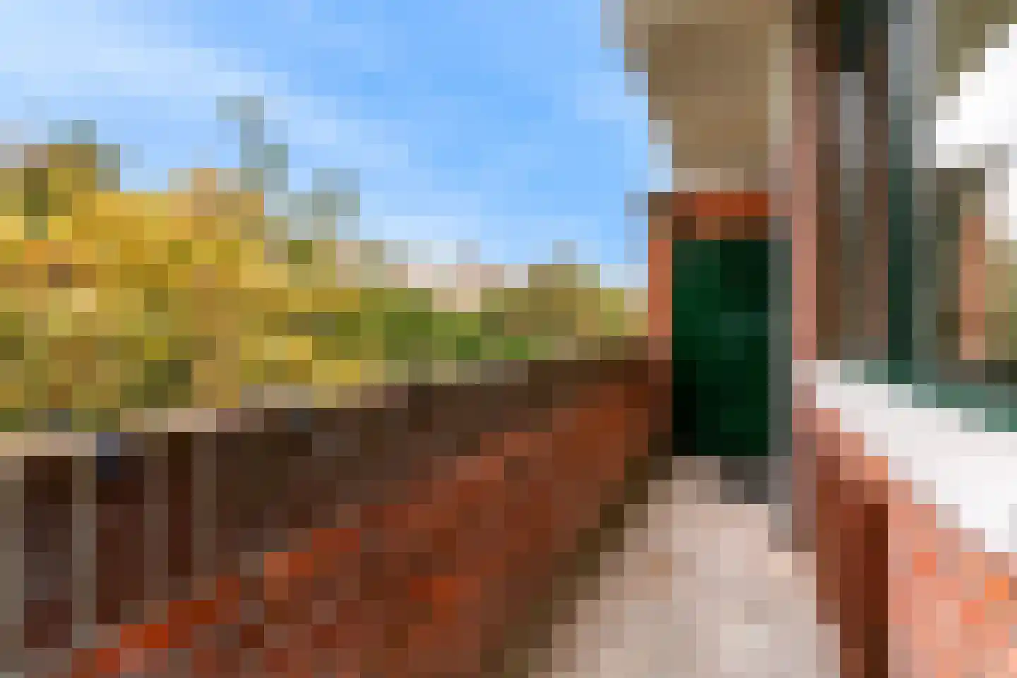 Van Alkemadelaan 303 Den Haag thumbnail 9