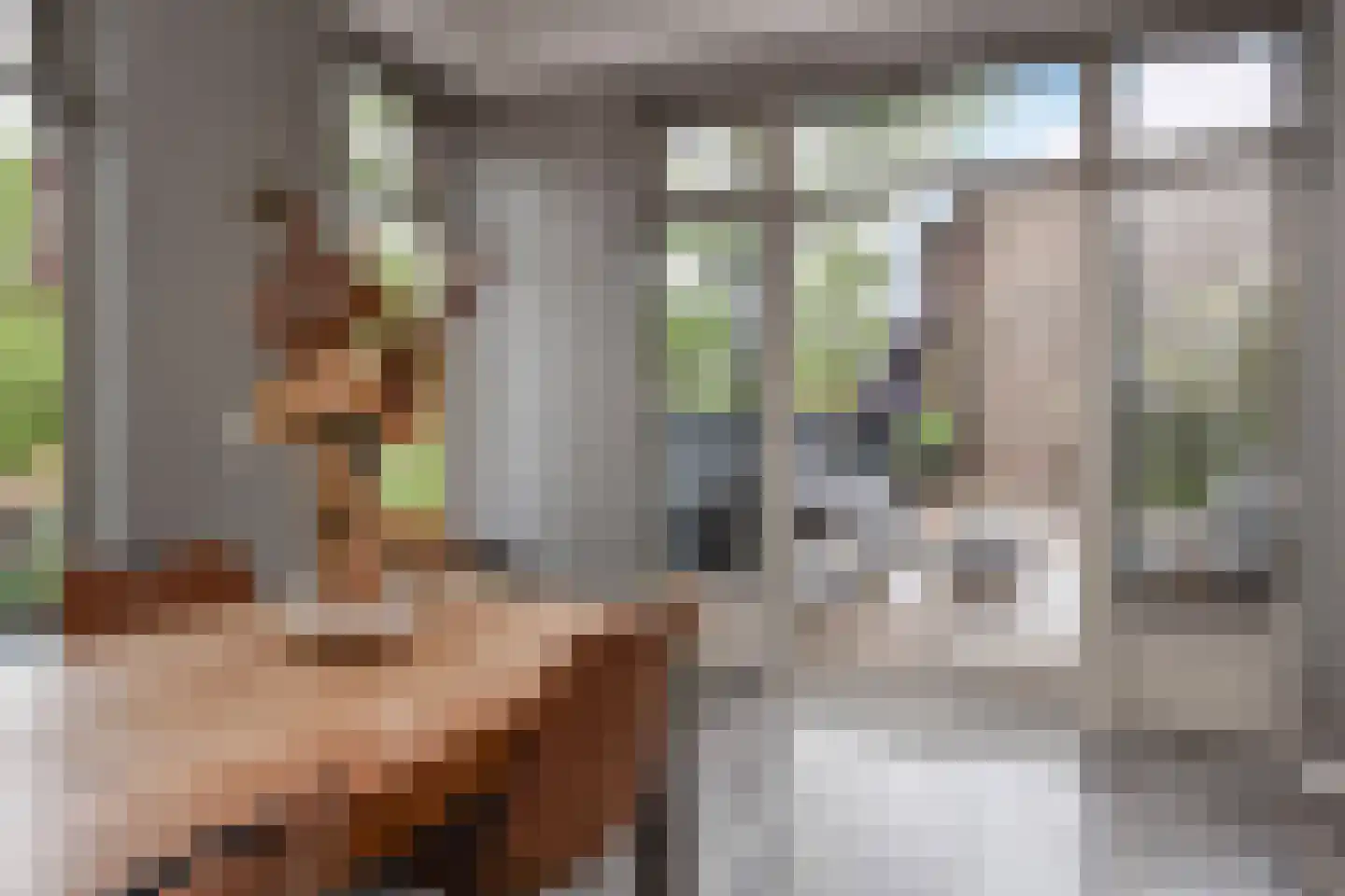 Van Alkemadelaan 338 A Den Haag thumbnail 11