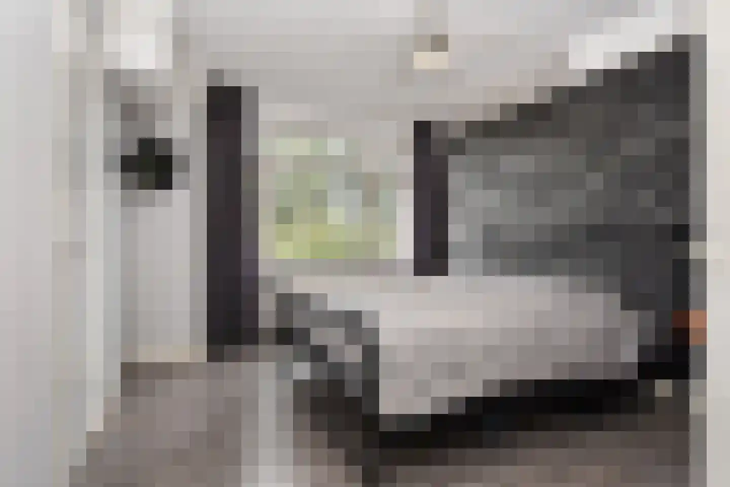 Van Alkemadelaan 338 A Den Haag thumbnail 23