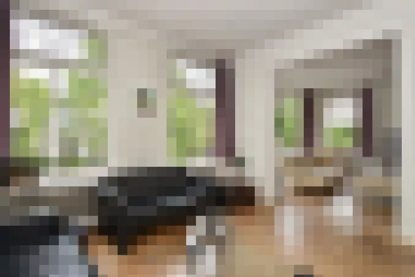 Van Alkemadelaan 338 A Den Haag thumbnail 5