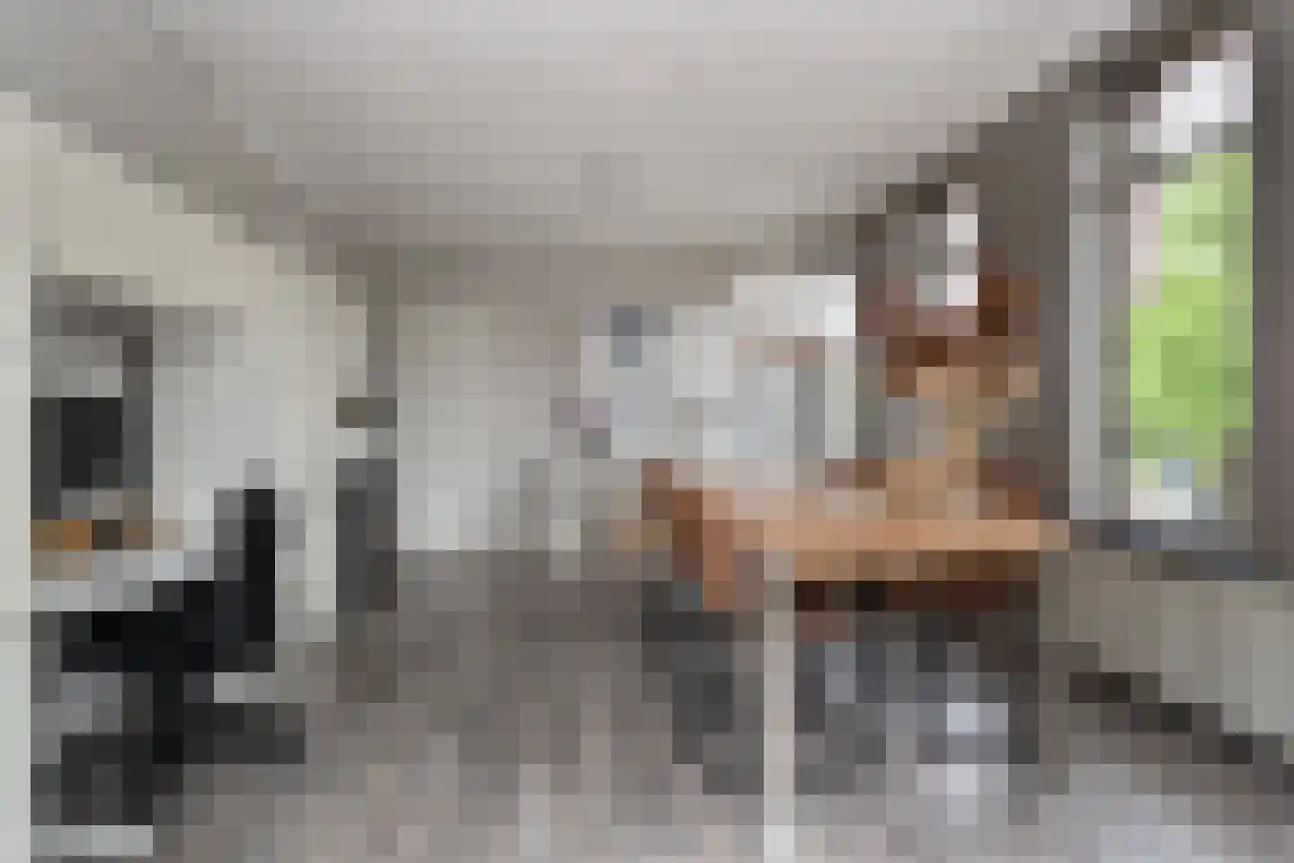 Van Alkemadelaan 338 A Den Haag thumbnail 8