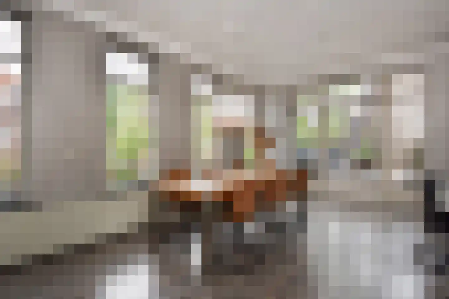 Van Alkemadelaan 338 A Den Haag thumbnail 9
