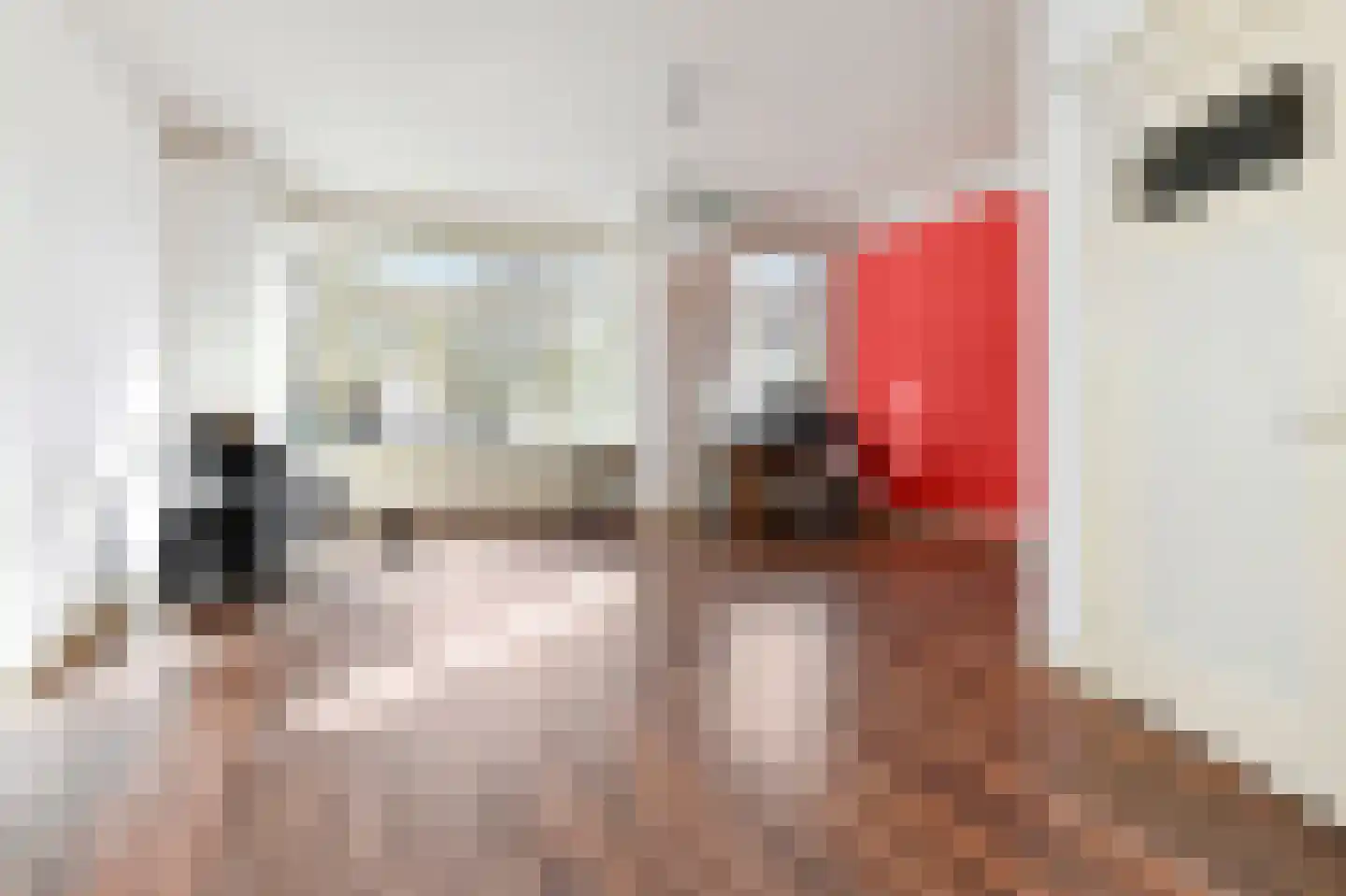 Van Alkemadelaan 346 Den Haag thumbnail 10