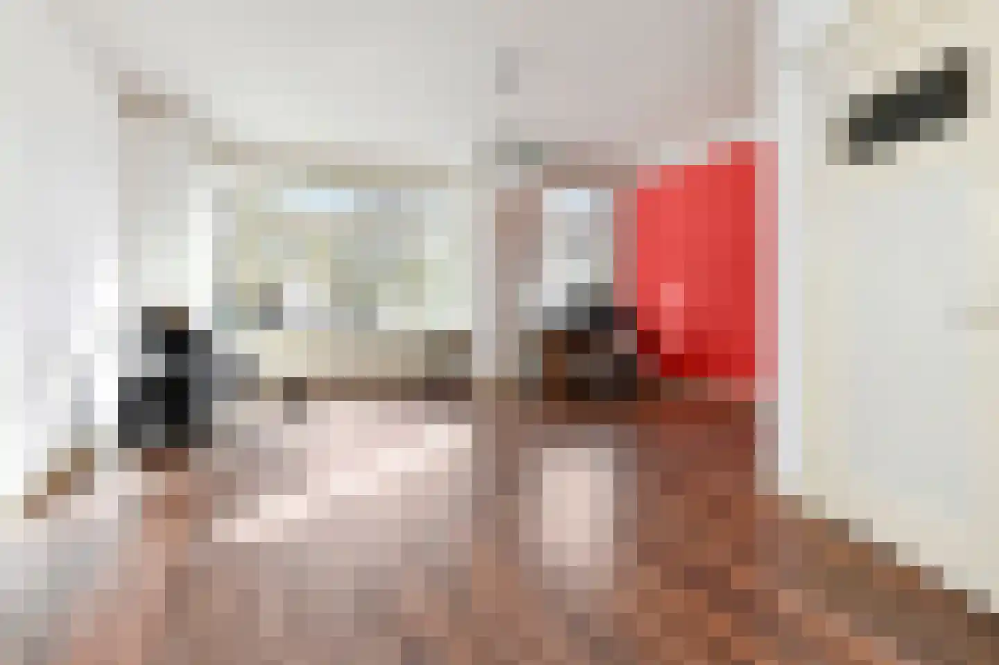 Van Alkemadelaan 346 Den Haag thumbnail 10