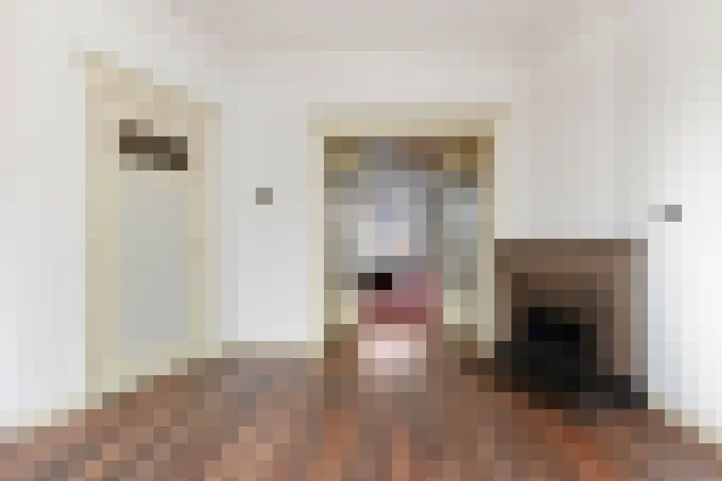 Van Alkemadelaan 346 Den Haag thumbnail 11