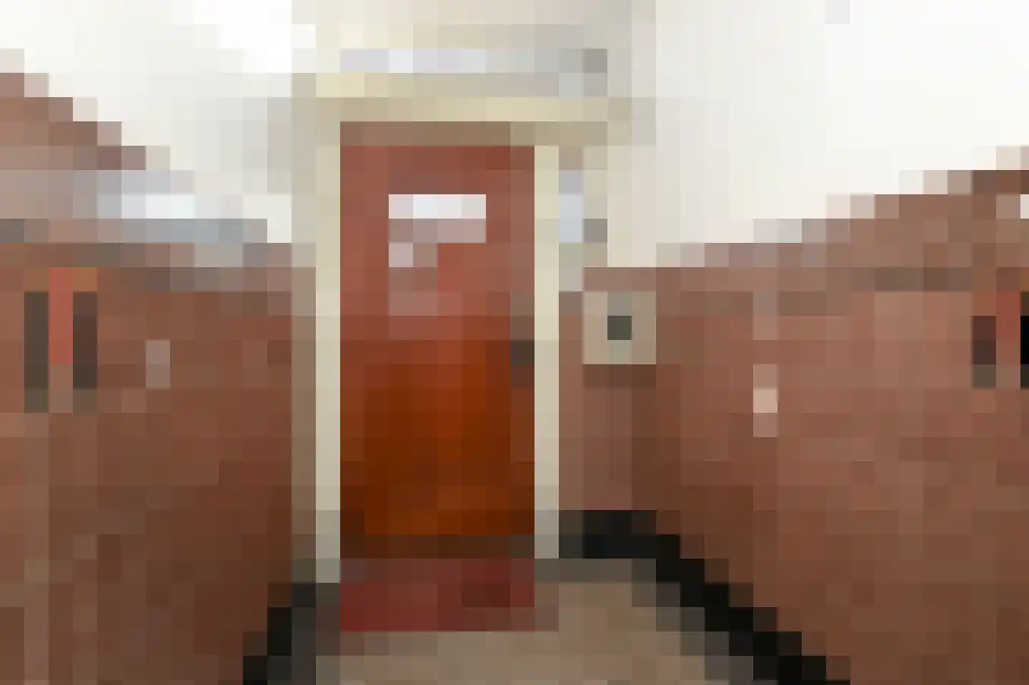 Van Alkemadelaan 346 Den Haag thumbnail 24