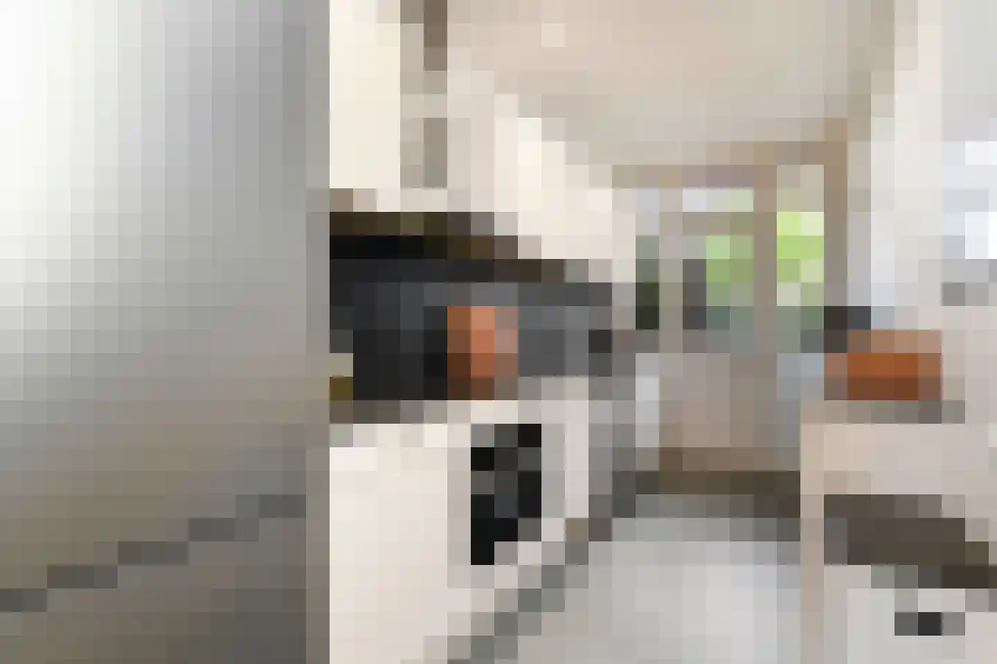 Van Alkemadelaan 346 Den Haag thumbnail 7