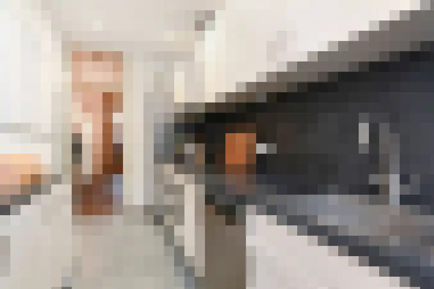 Van Alkemadelaan 346 Den Haag thumbnail 8