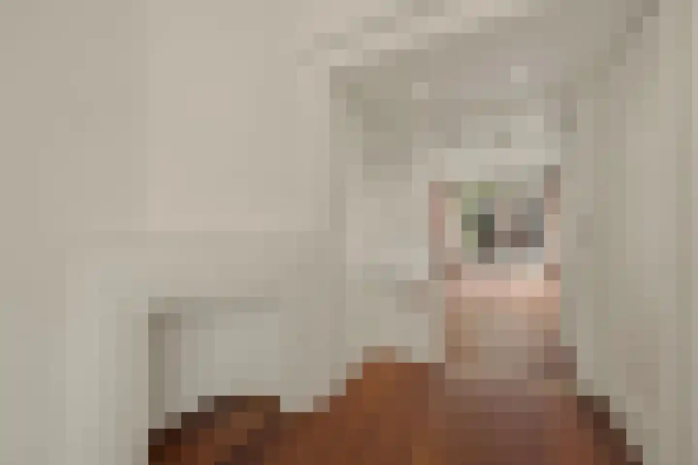 Van Alkemadelaan 348 Den Haag thumbnail 12