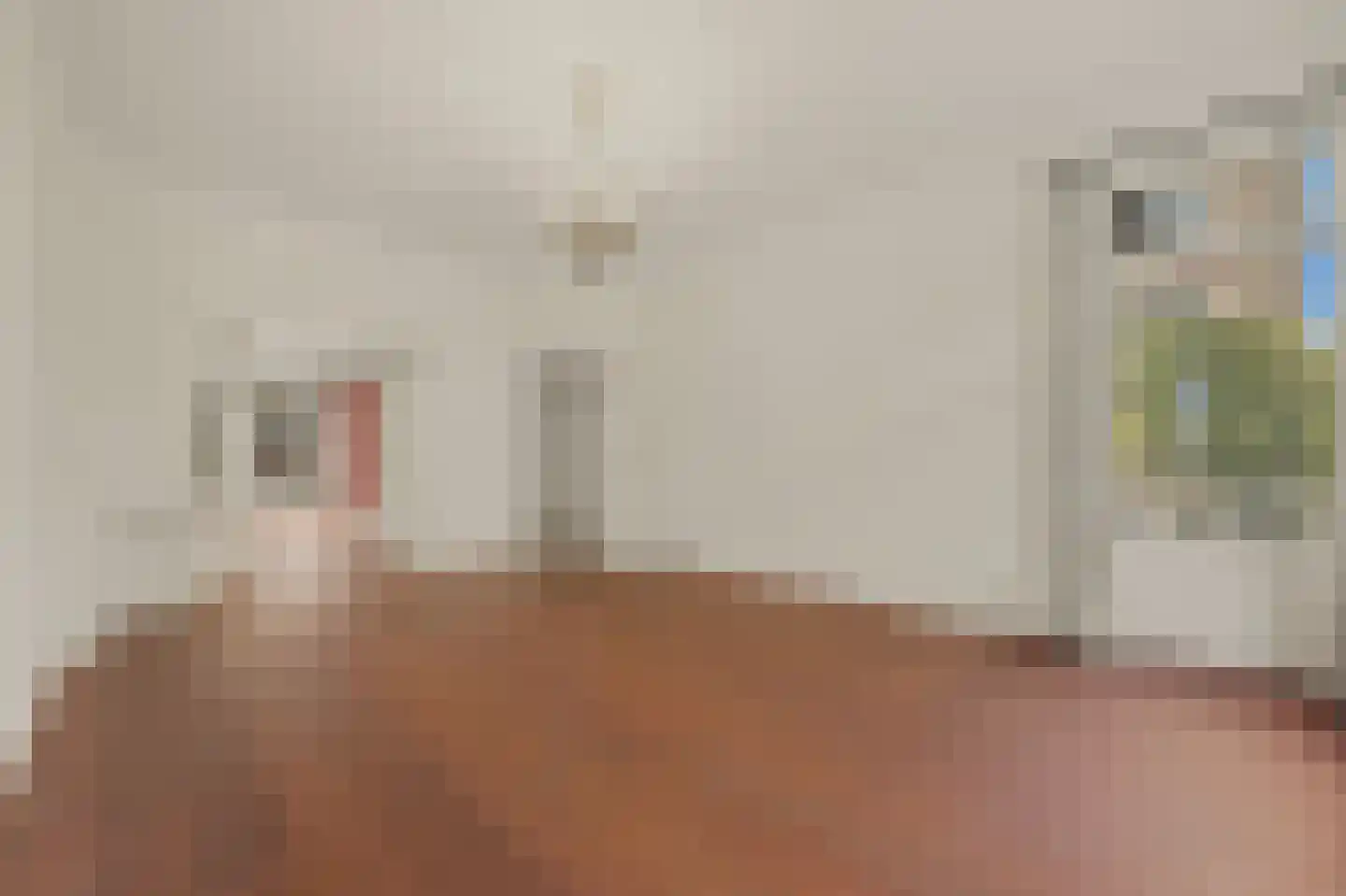 Van Alkemadelaan 348 Den Haag thumbnail 14