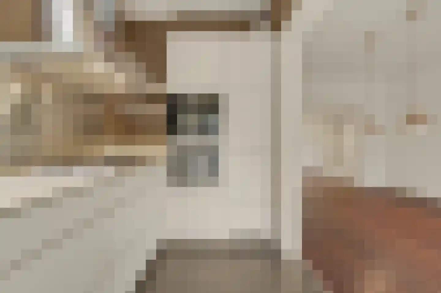 Van Alkemadelaan 348 Den Haag thumbnail 19