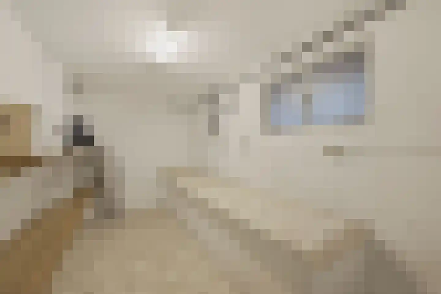 Van Alkemadelaan 348 Den Haag thumbnail 39