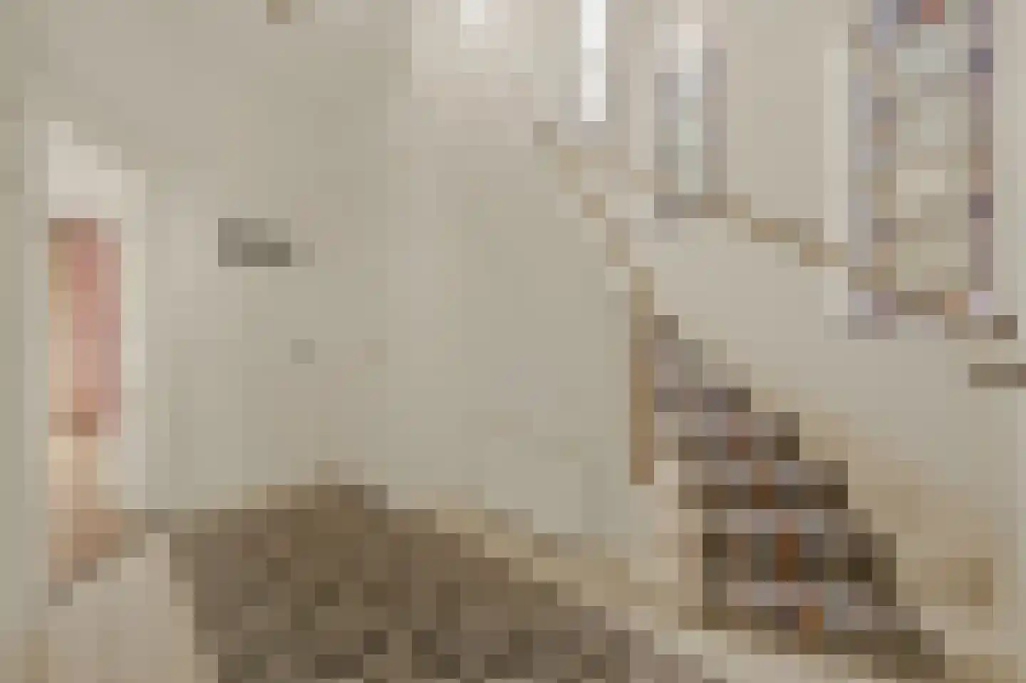 Van Alkemadelaan 348 Den Haag thumbnail 43