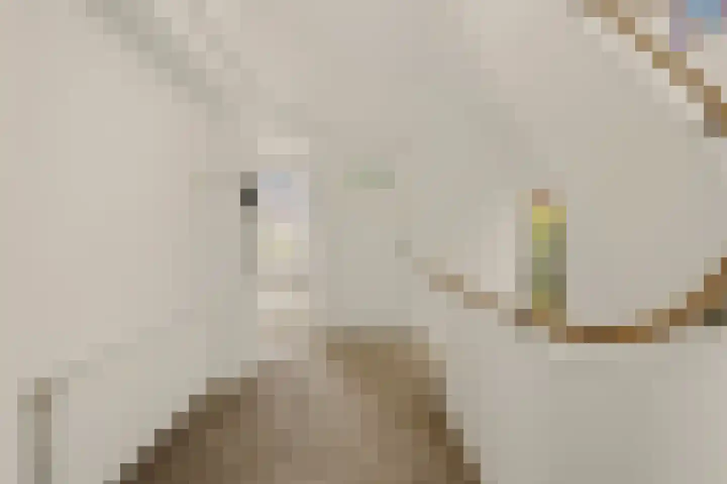 Van Alkemadelaan 348 Den Haag thumbnail 61