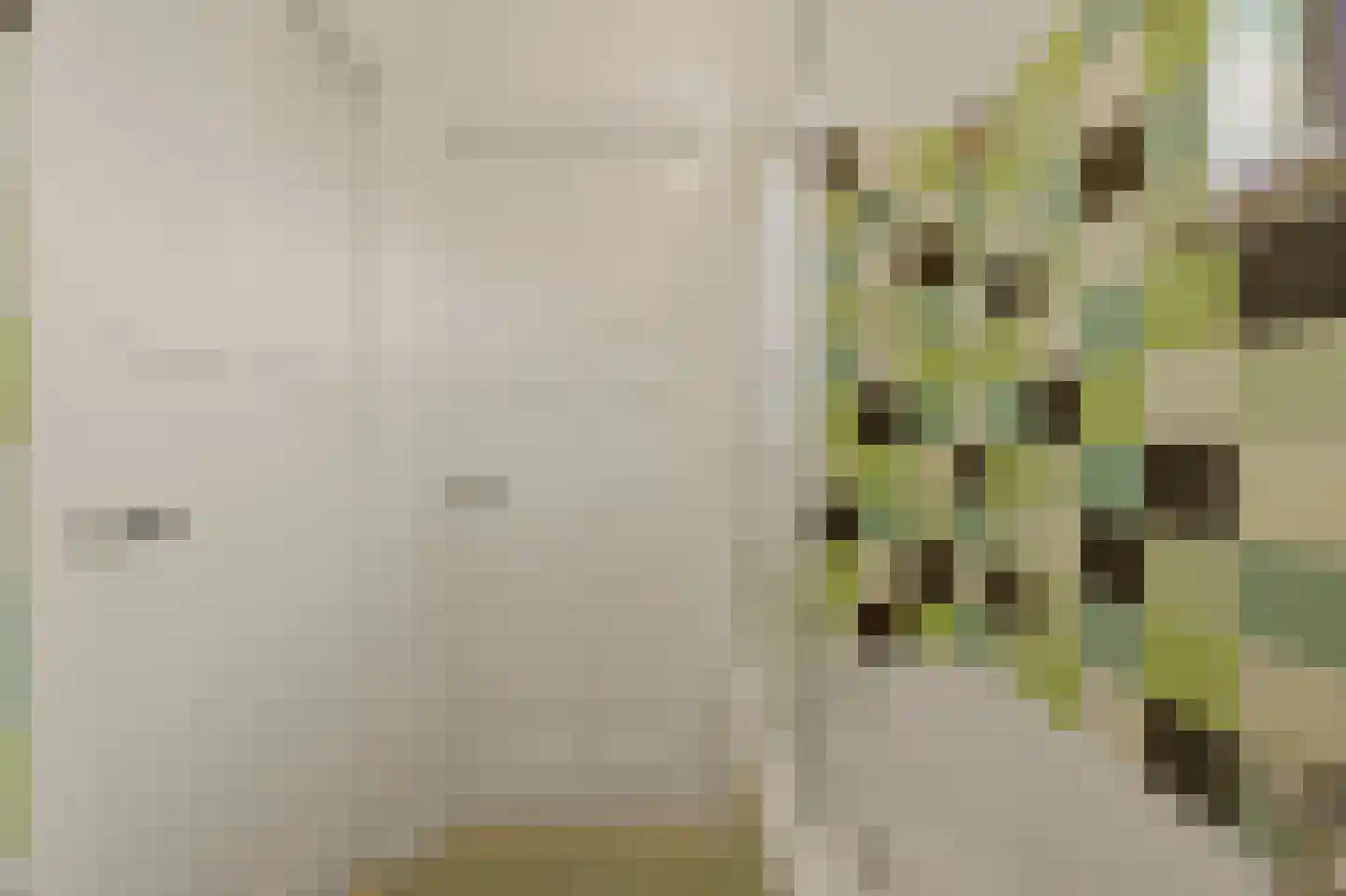 Van Alkemadelaan 348 Den Haag thumbnail 69