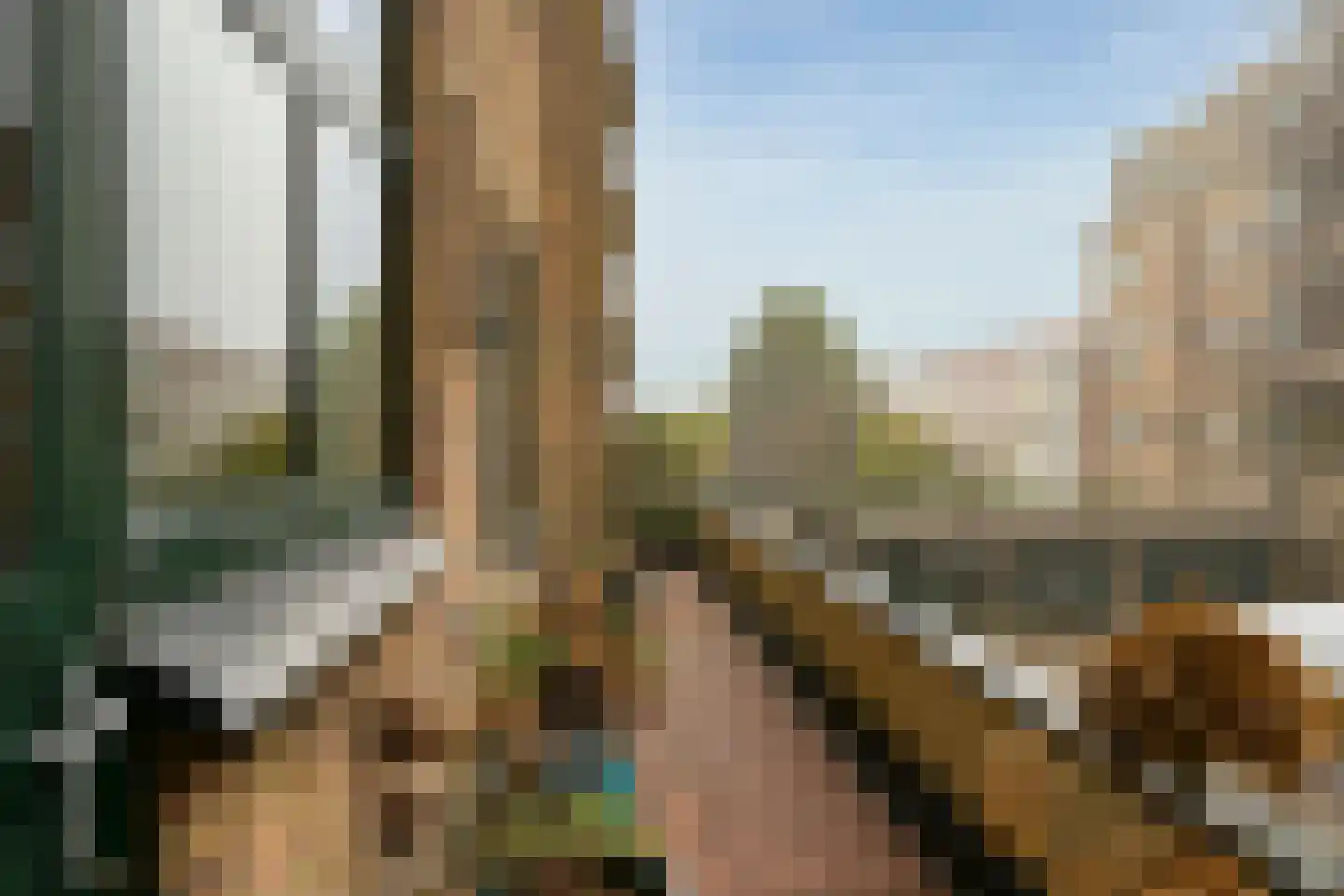 Van Alkemadelaan 350 116 Den Haag thumbnail 12