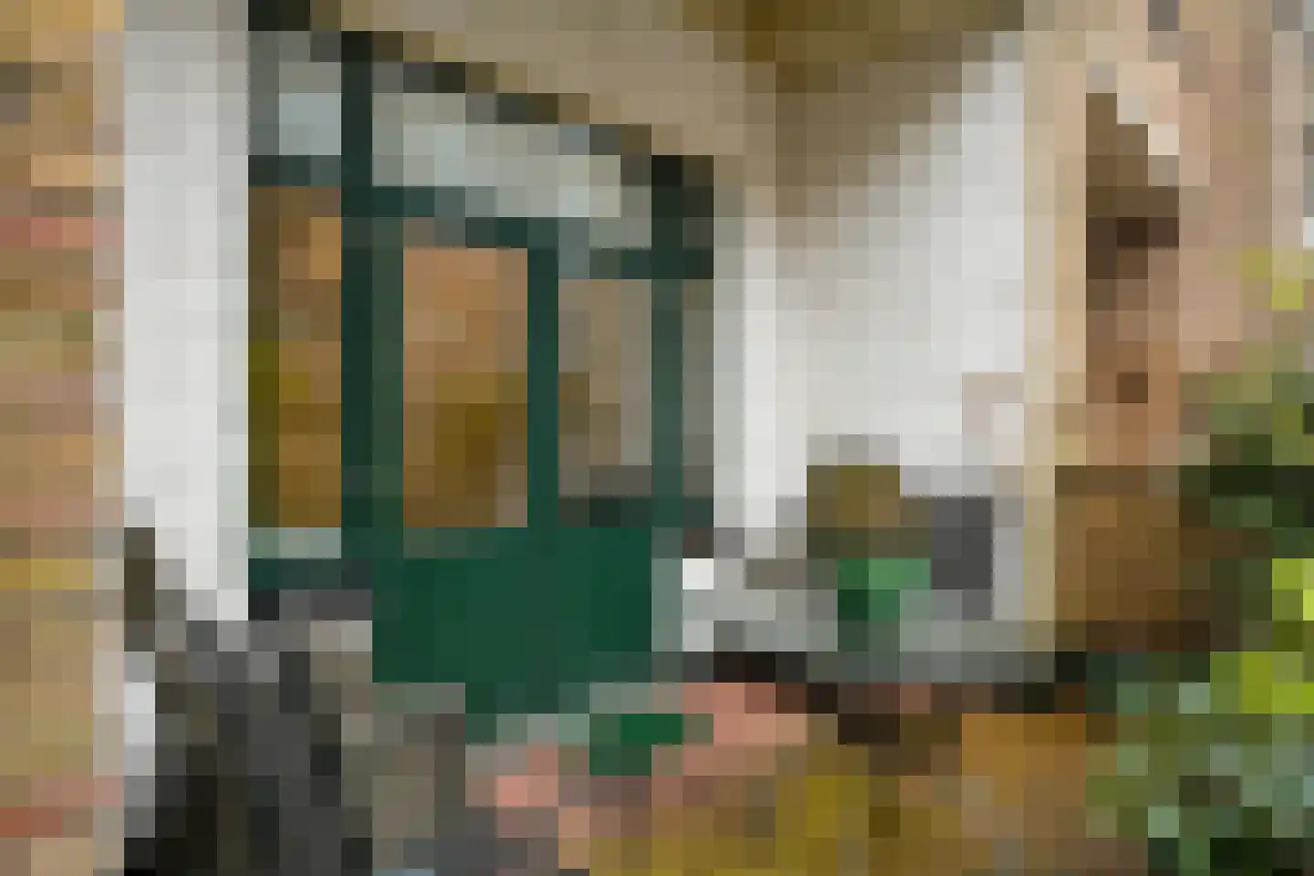 Van Alkemadelaan 350 116 Den Haag thumbnail 13