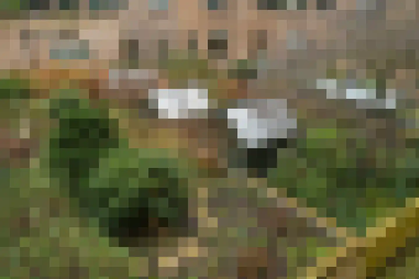 Van Alkemadelaan 350 116 Den Haag thumbnail 15