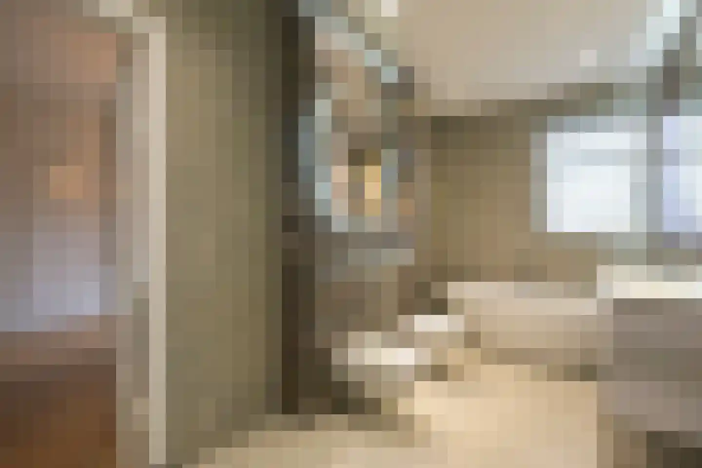 Van Alkemadelaan 350 116 Den Haag thumbnail 41