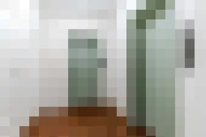 Van Alkemadelaan 350 118 Den Haag thumbnail 10