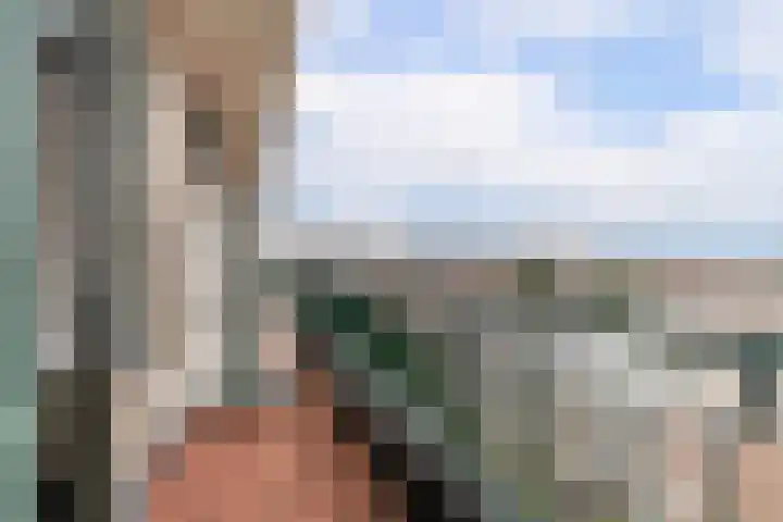 Van Alkemadelaan 350 118 Den Haag thumbnail 13