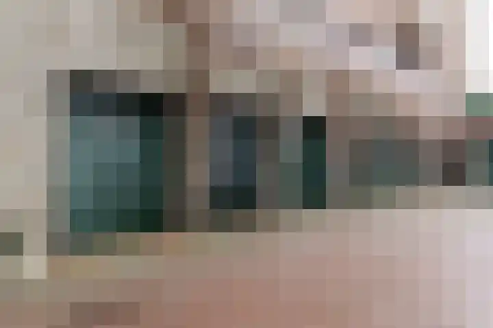 Van Alkemadelaan 350 118 Den Haag thumbnail 16