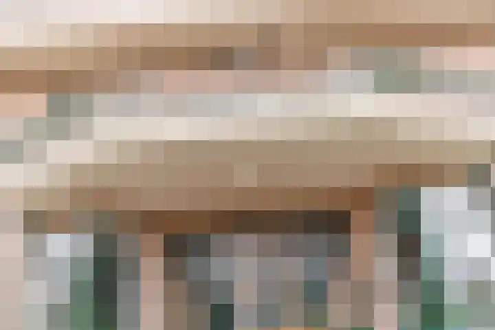 Van Alkemadelaan 350 118 Den Haag thumbnail 7