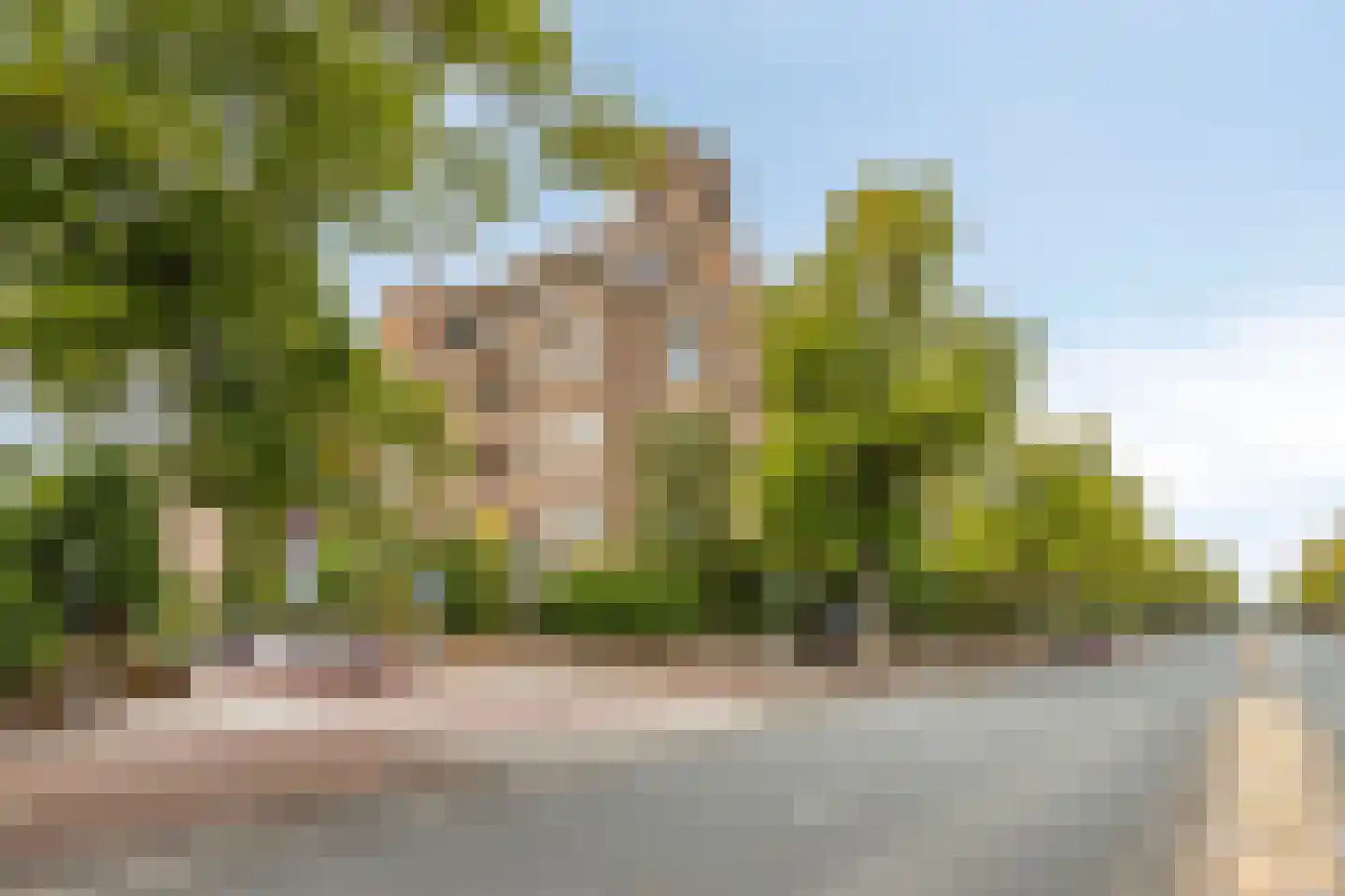 Van Alkemadelaan 350 12 Den Haag thumbnail 32