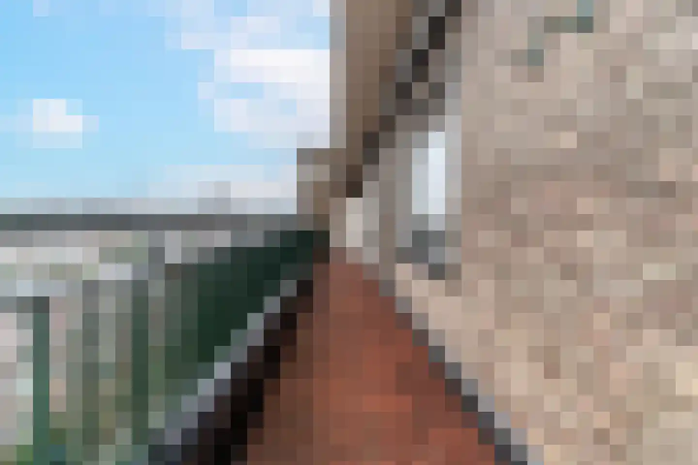 Van Alkemadelaan 350 17 Den Haag thumbnail 22