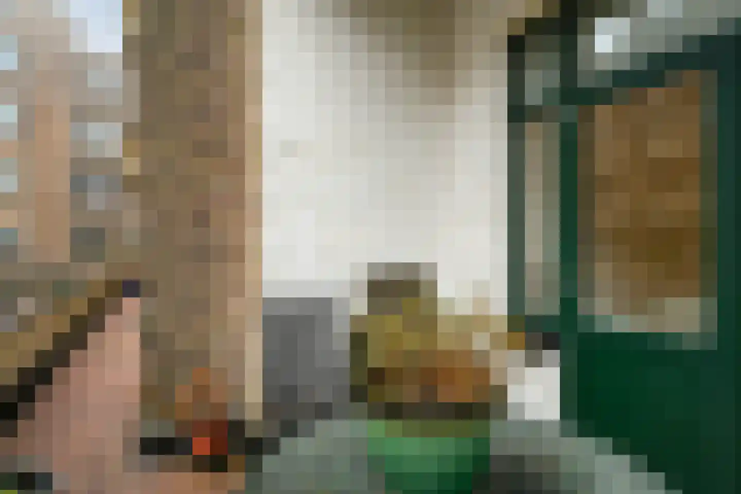 Van Alkemadelaan 350 216 Den Haag thumbnail 14