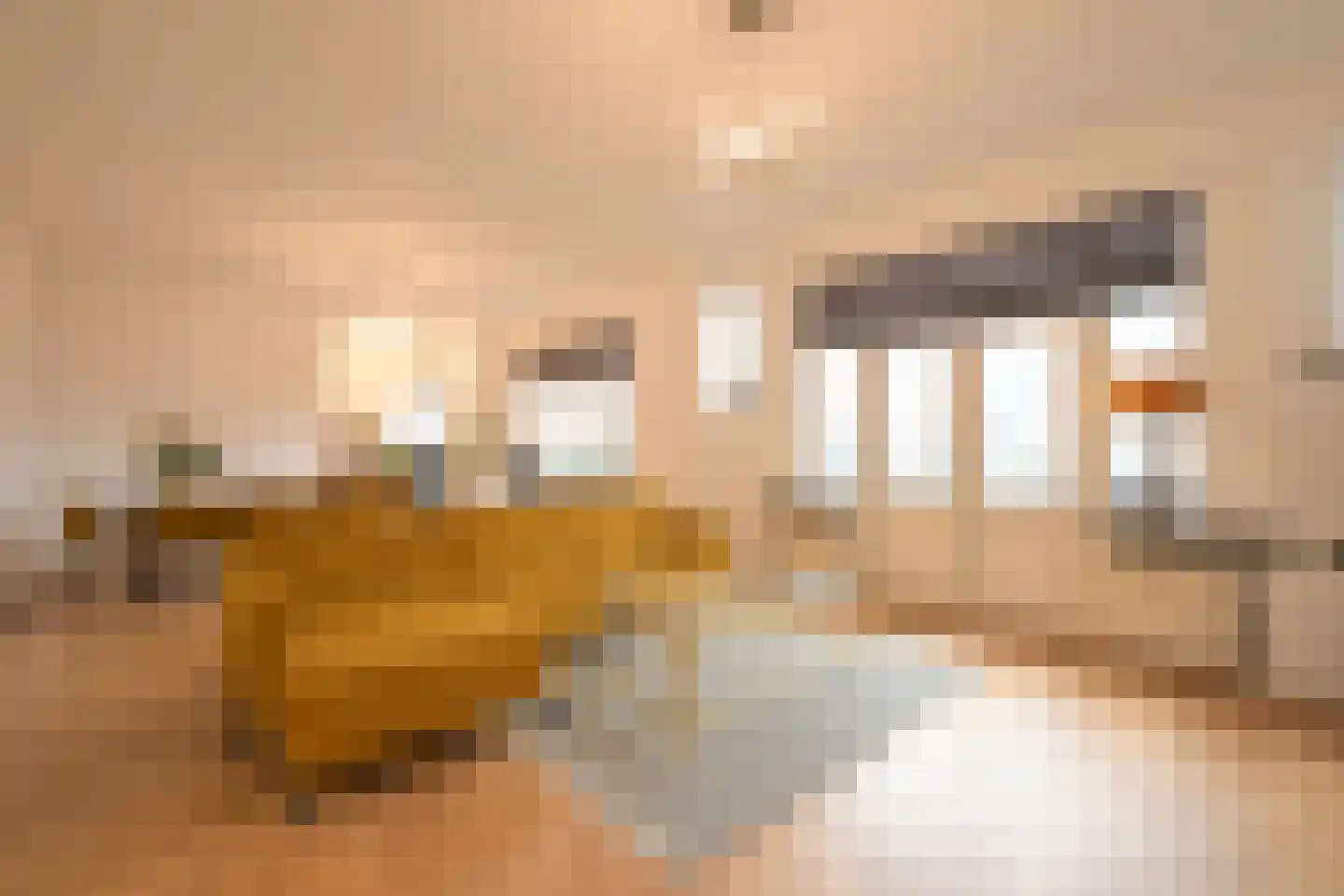 Van Alkemadelaan 350 216 Den Haag thumbnail 22