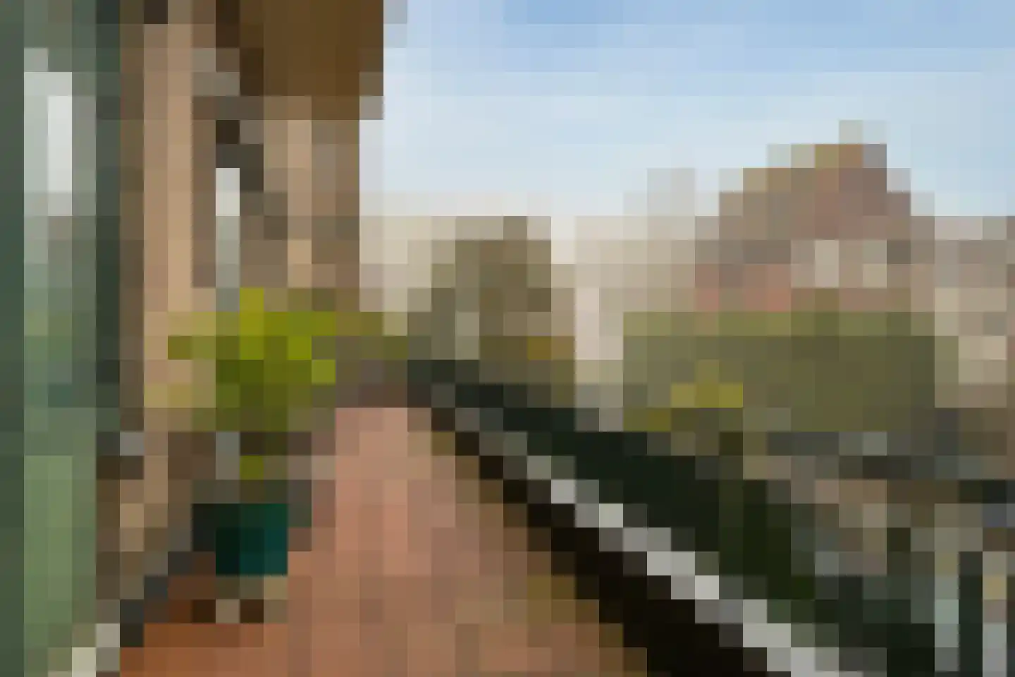 Van Alkemadelaan 350 216 Den Haag thumbnail 25