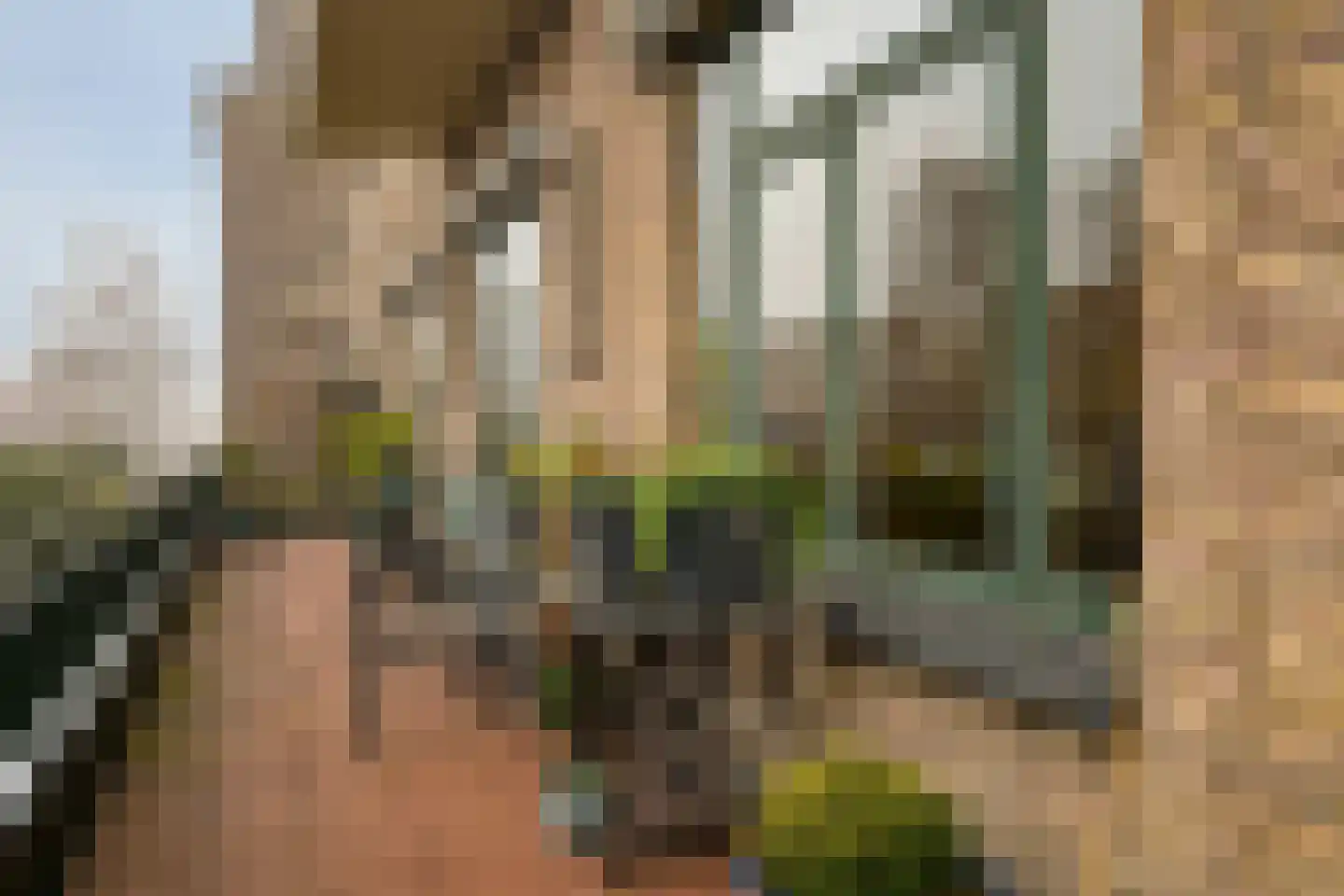 Van Alkemadelaan 350 216 Den Haag thumbnail 27