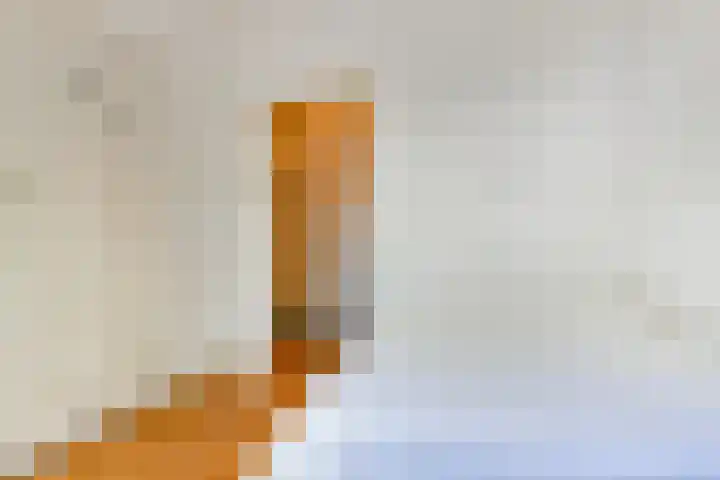 Van Alkemadelaan 350 307 Den Haag thumbnail 23