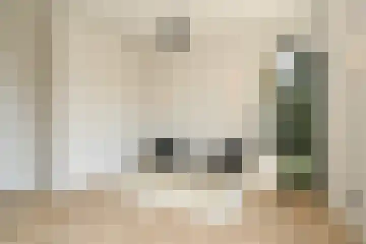 Van Alkemadelaan 350 314 Den Haag thumbnail 17