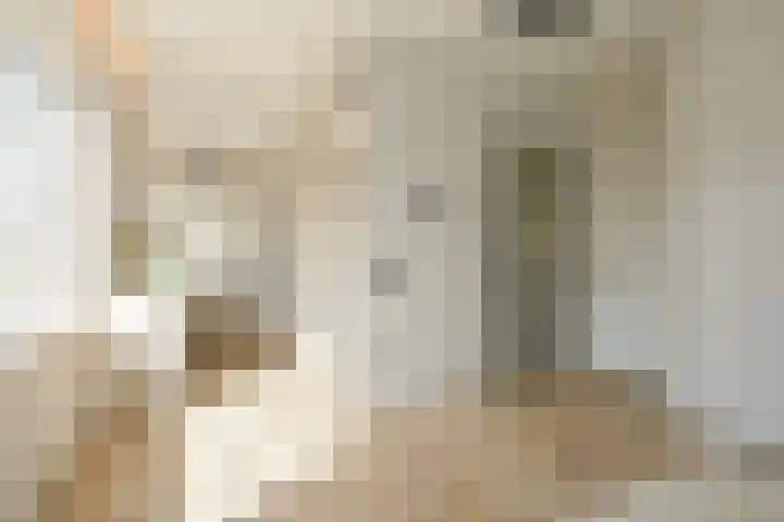 Van Alkemadelaan 350 314 Den Haag thumbnail 18