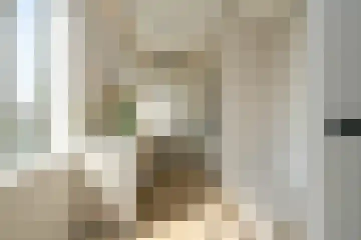 Van Alkemadelaan 350 314 Den Haag thumbnail 19