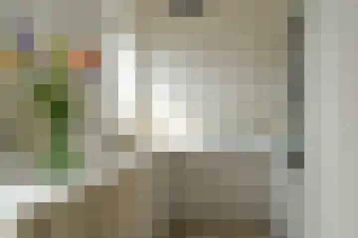 Van Alkemadelaan 350 314 Den Haag thumbnail 20