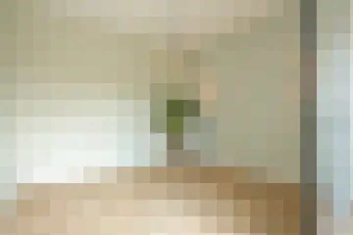 Van Alkemadelaan 350 314 Den Haag thumbnail 24