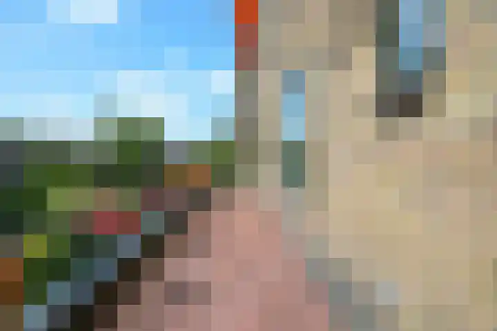 Van Alkemadelaan 350 314 Den Haag thumbnail 31