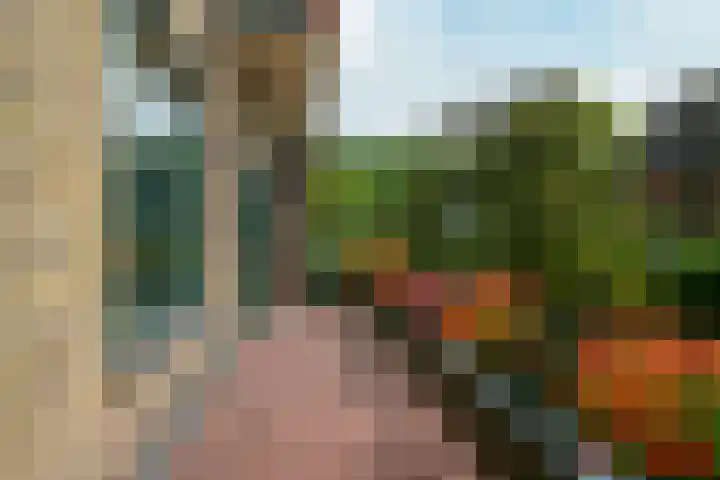 Van Alkemadelaan 350 314 Den Haag thumbnail 32