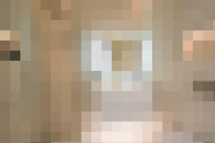 Van Alkemadelaan 350 314 Den Haag thumbnail 33