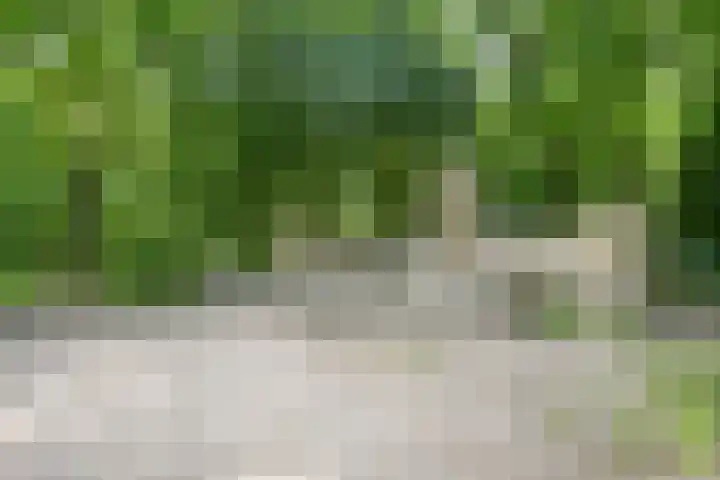 Van Alkemadelaan 350 314 Den Haag thumbnail 40