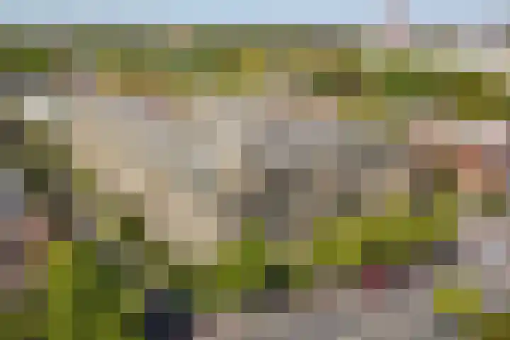 Van Alkemadelaan 350 314 Den Haag thumbnail 7