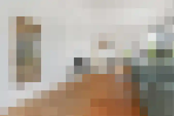 Van Alkemadelaan 350 412 Den Haag thumbnail 13