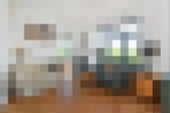 Van Alkemadelaan 350 412 Den Haag thumbnail 14