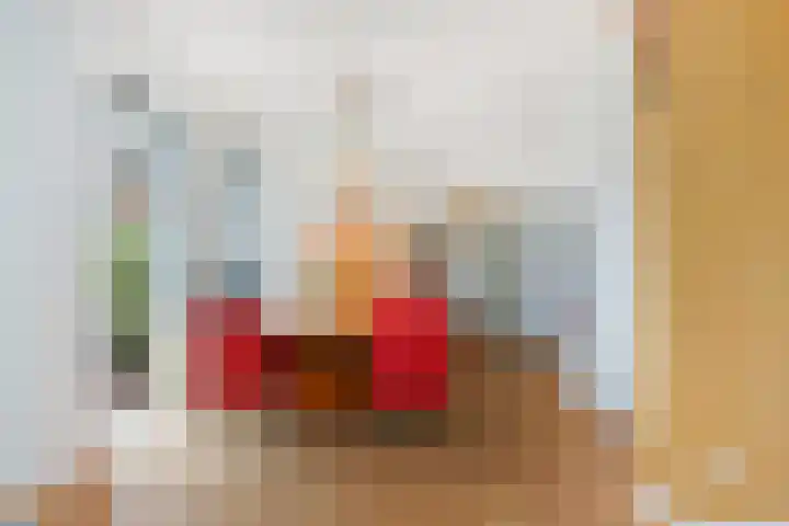 Van Alkemadelaan 350 412 Den Haag thumbnail 17