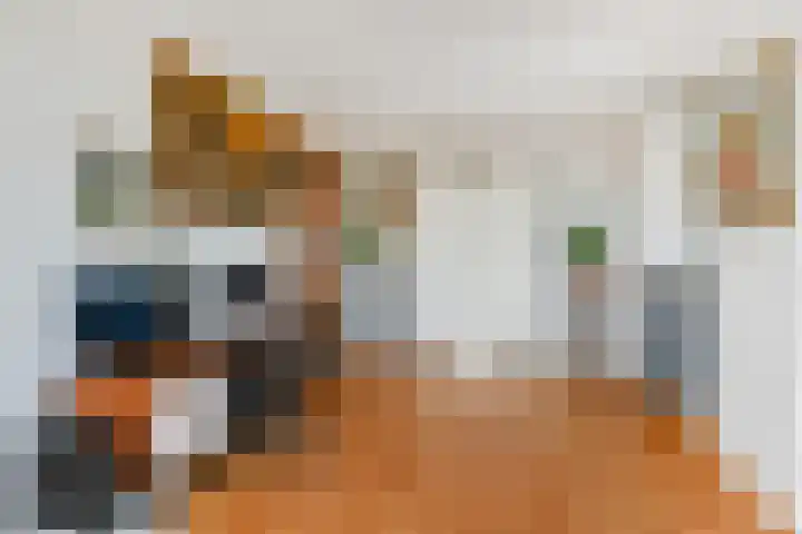 Van Alkemadelaan 350 412 Den Haag thumbnail 18