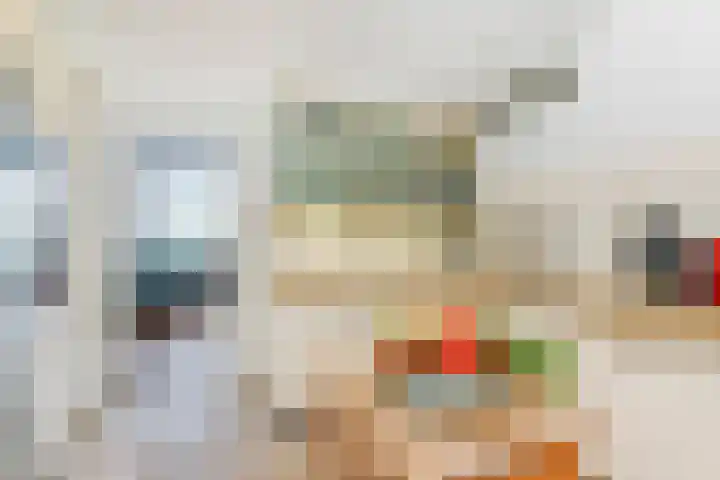 Van Alkemadelaan 350 412 Den Haag thumbnail 31